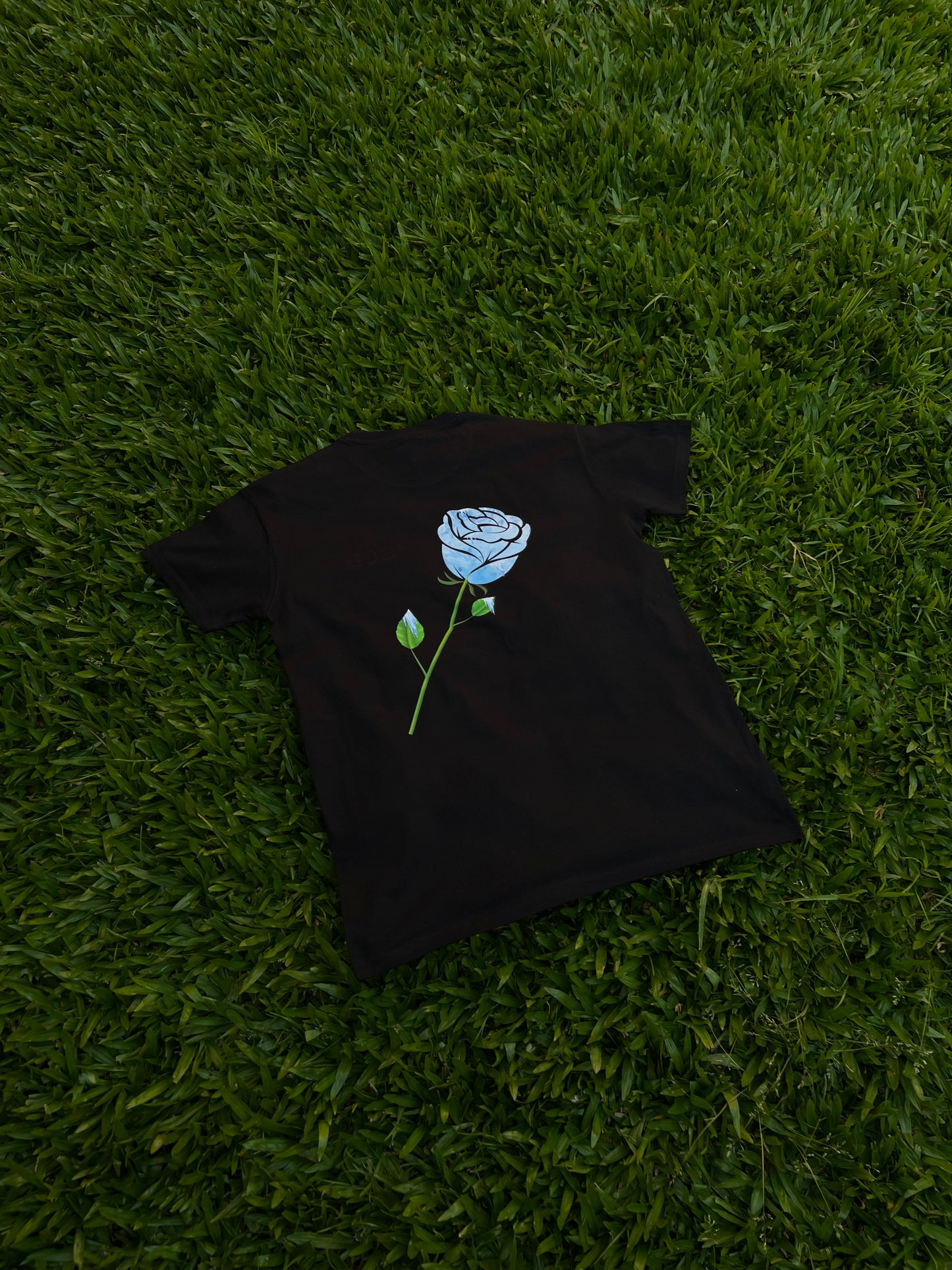 Black T-Shirt Rose Model